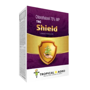 Shield