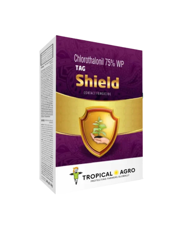 Shield