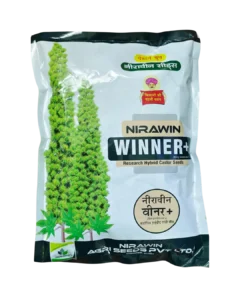 નિરાવિન વિનર+(વેસ્ટર્ન ગ્રુપ) દિવેલા બિયારણ