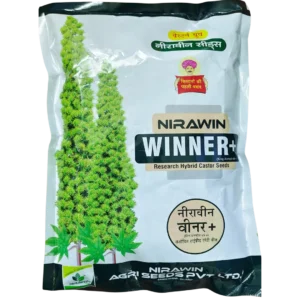 નિરાવિન વિનર+(વેસ્ટર્ન ગ્રુપ) દિવેલા બિયારણ