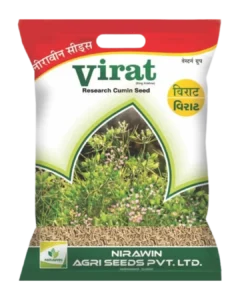 વિરાટ (વેસ્ટર્ન ગ્રુપ) જીરું બિયારણ