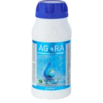 Agora