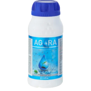Agora