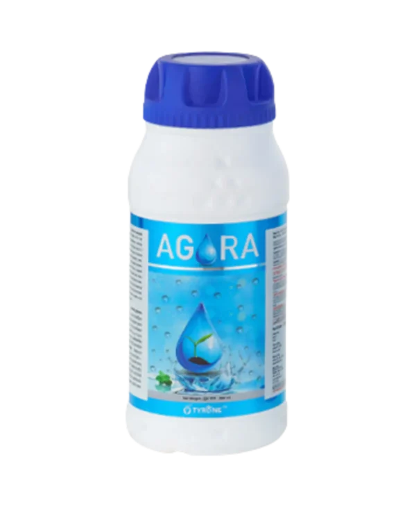 Agora