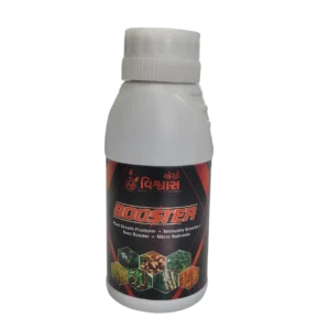Booster