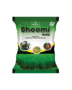 Bhoomi Gold