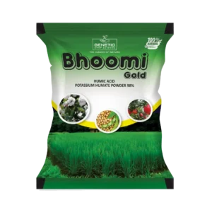 Bhoomi Gold